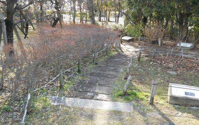 西田公園万葉植物苑