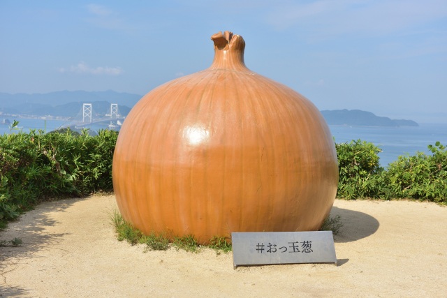 おっ玉葱