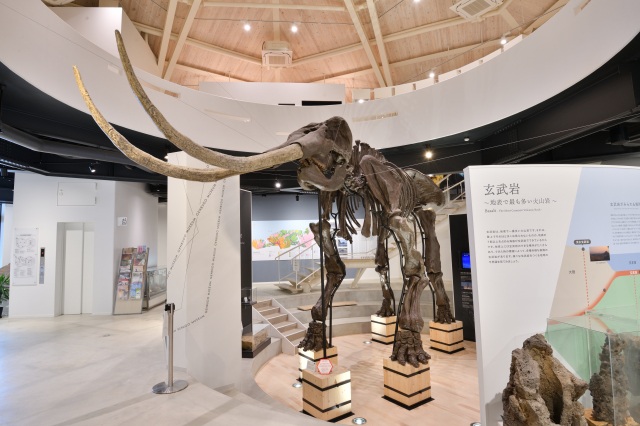 玄武洞ミュージアム-1