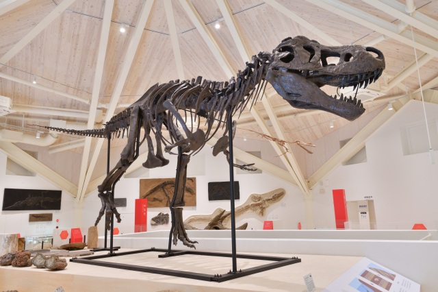 玄武洞ミュージアム-3