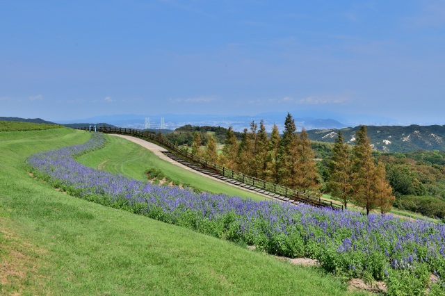あわじ花さじき-1
