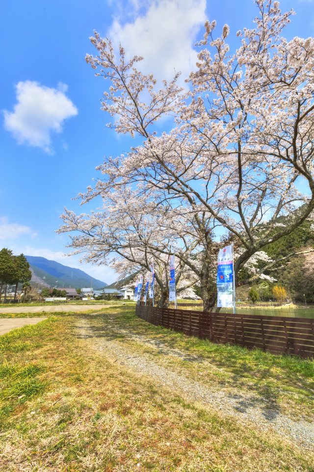 現存する馬車道-2