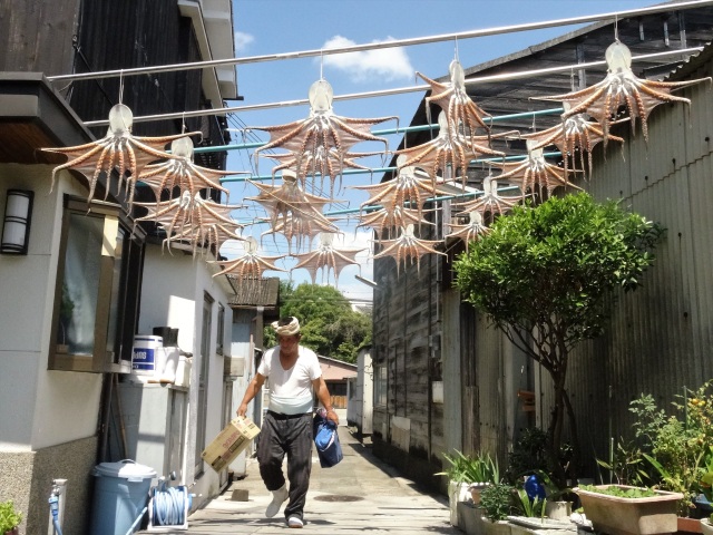 「明石の干しタコ」明石市東二見漁港