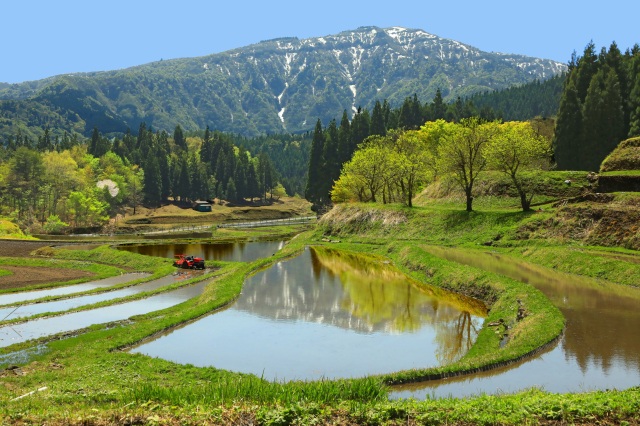 「棚田に春が」養父市別宮