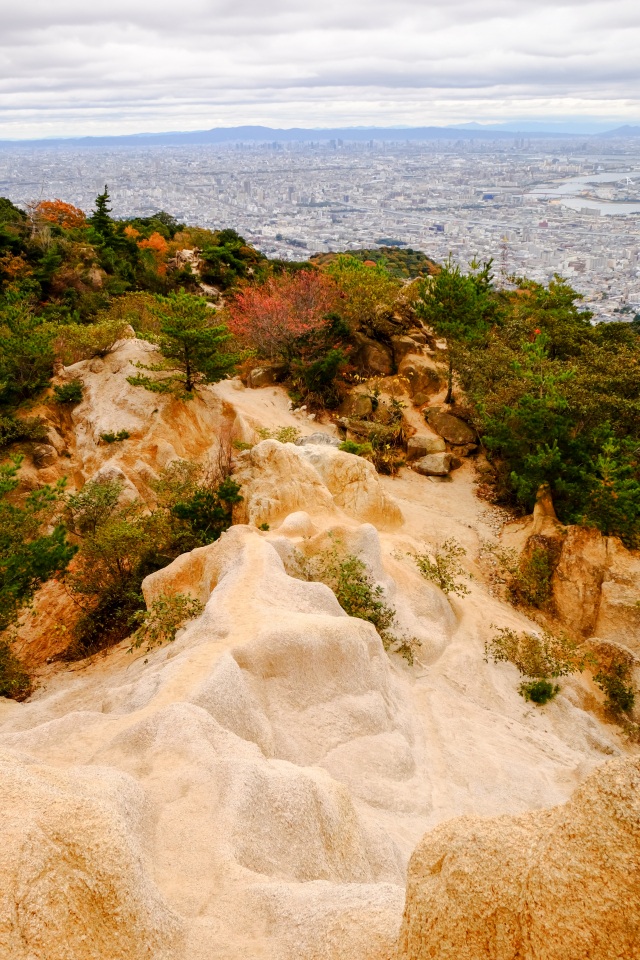 六甲山 ロックガーデン