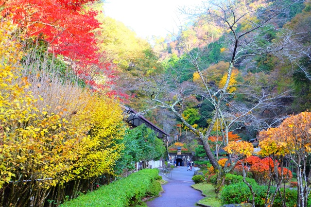 生野銀山の紅葉