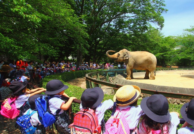 神戸王子動物園