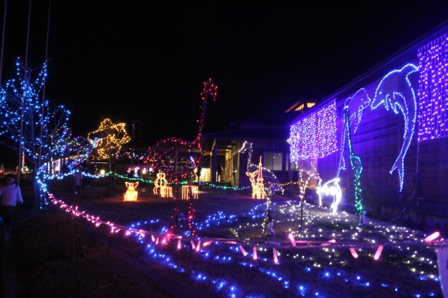 有馬富士公園のイルミネーション