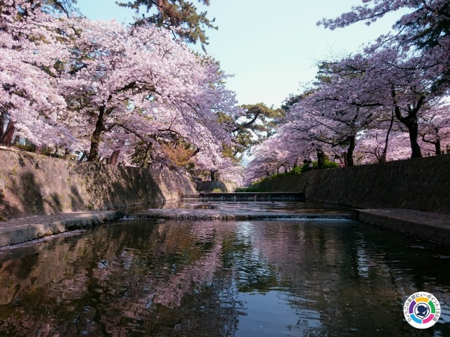 夙川公園の阪急苦楽園口駅付近