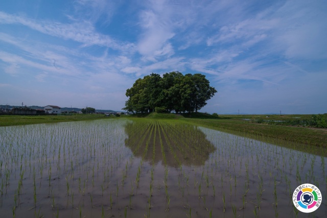 八柱神社付近の農道