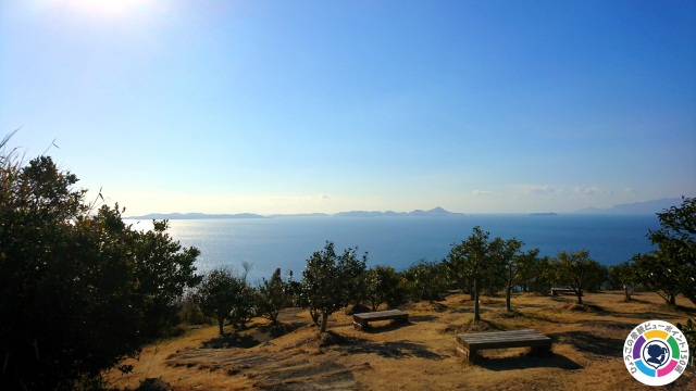 万葉の岬つばき園