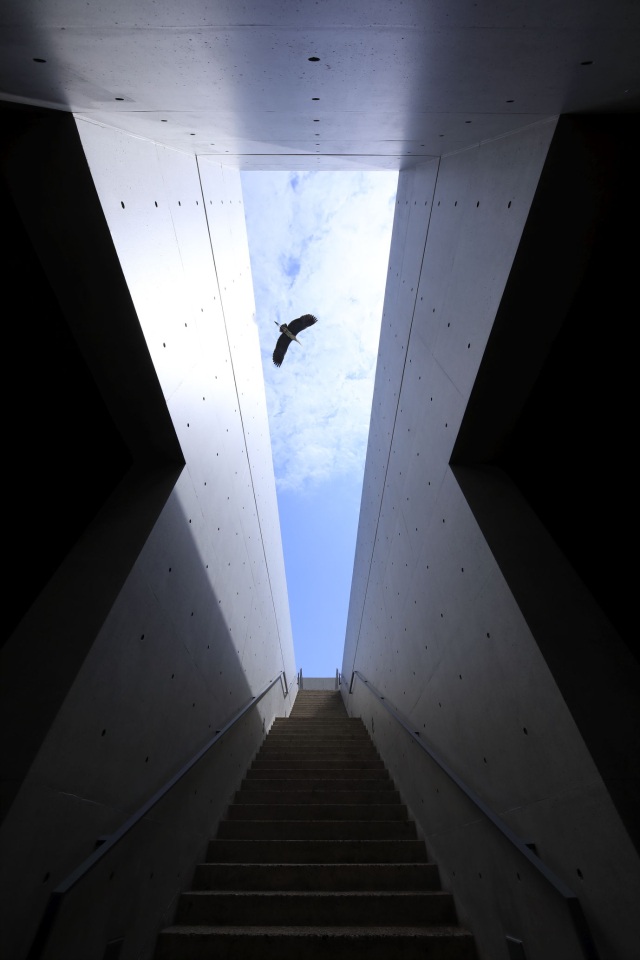 本福寺 水御堂-Ⅵ