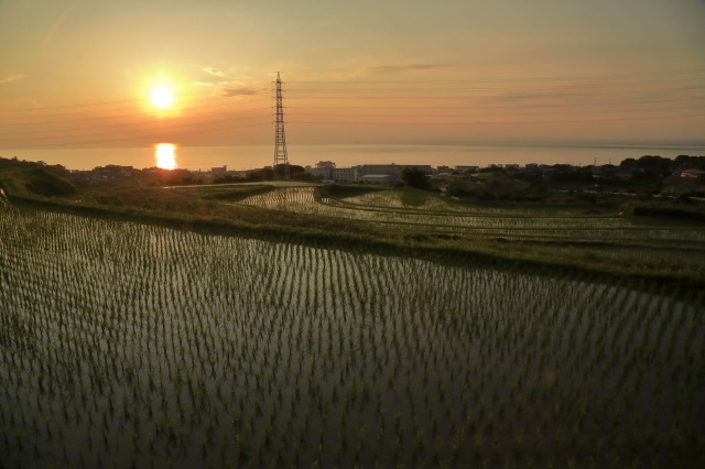 石田の棚田-Ⅲ