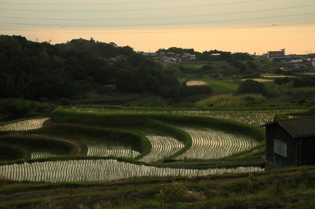 石田の棚田-Ⅴ