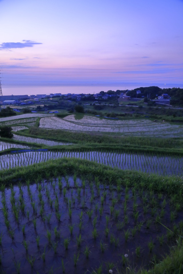 石田の棚田-Ⅵ