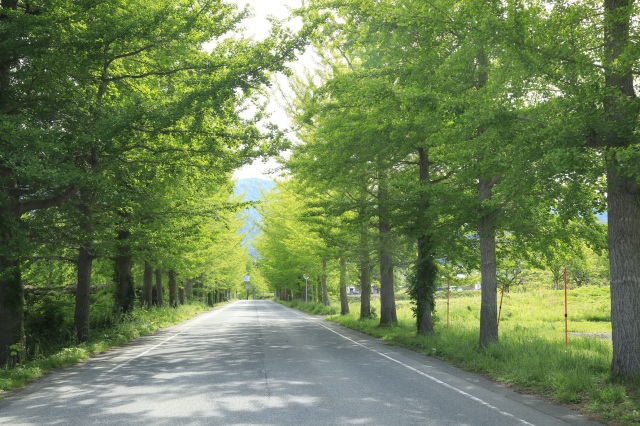 神鍋高原キャンプ場-Ⅳ