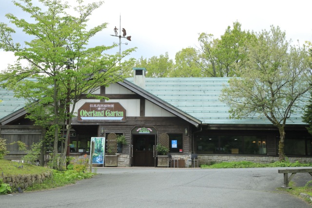 たじま高原植物園-Ⅸ