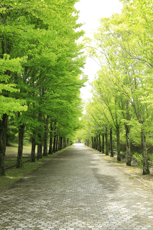 日本へそ公園-Ⅵ