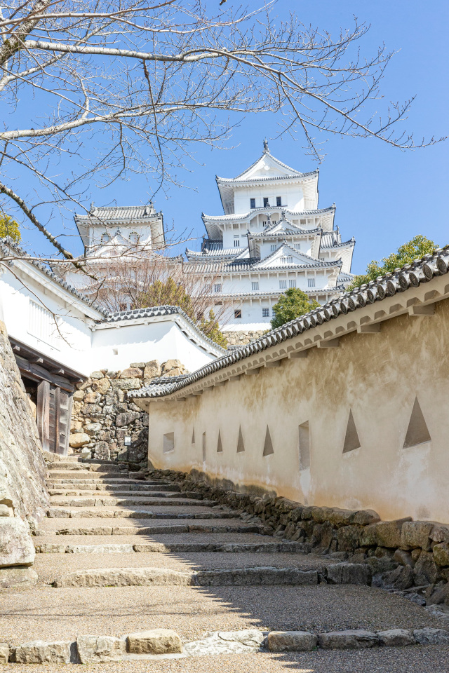姫路城2023-2