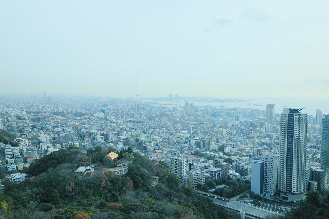 【神戸】世界パラ陸上の経験をホスピタリティ向上に活かす