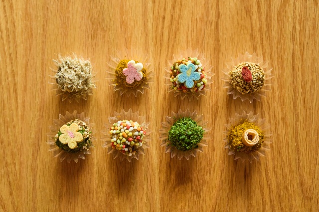 瀬戸内から播磨へ――塩と醤の発酵物語