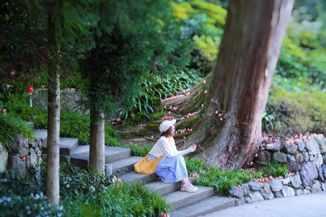 From nature to local soul food and drinks: discover new side of Hyogo and Osaka Prefectures