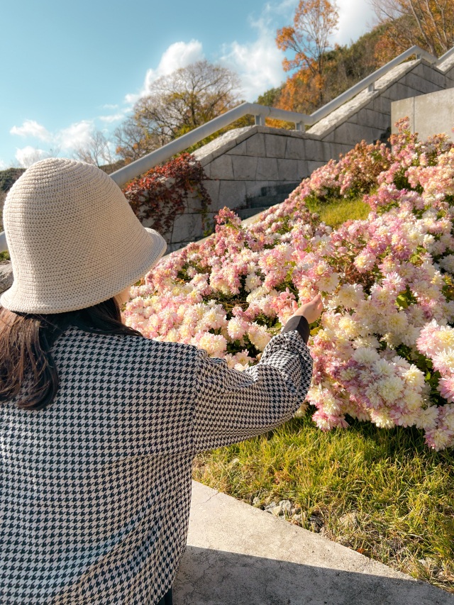 [ Undefined: article-review-plain ]