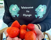 [ Undefined: article-review-plain ]