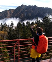 [ Undefined: article-review-plain ]