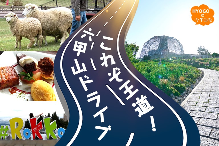 これぞ王道!六甲山ドライブ