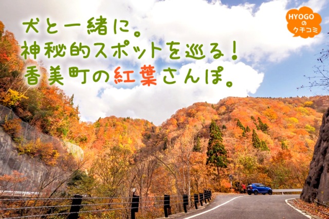 犬と一緒に。神秘的スポットを巡る!香美町の紅葉さんぽ。