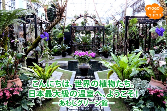 こんにちは、世界の植物たち。日本最大級の温室へ、ようこそ!-あわじグリーン館-