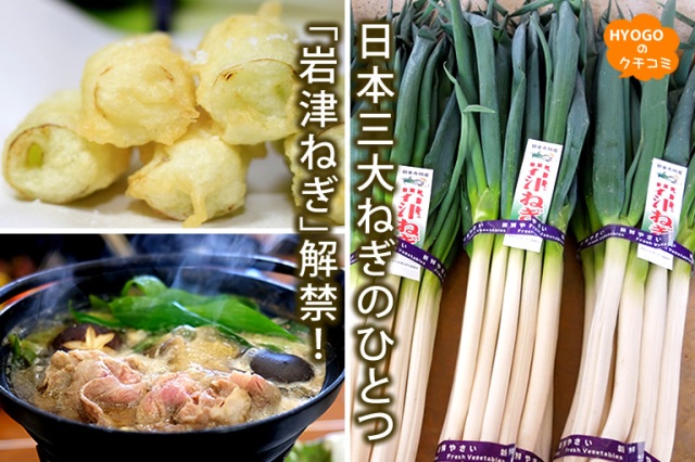 日本三大ねぎのひとつ 「岩津ねぎ」解禁!