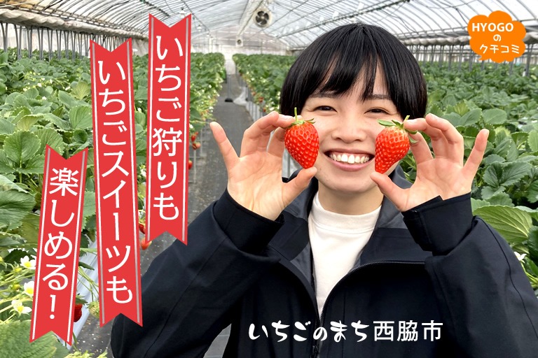 いちご狩りも、いちごスイーツも楽しめる! いちごのまち西脇市。