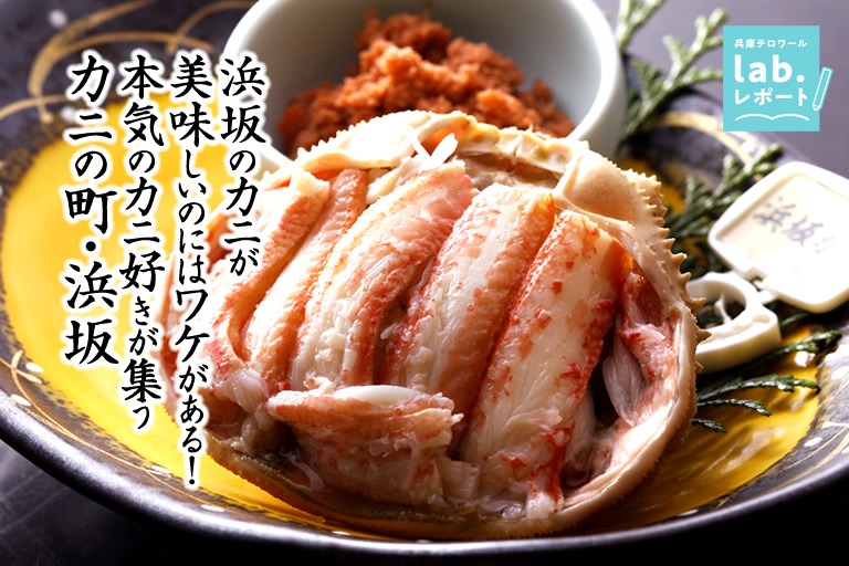 浜坂のカニが美味しいのにはワケがある! 本気のカニ好きが集う「カニの町・浜坂」。日本で初となる「かにソムリエ」も。-兵庫テロワール旅-