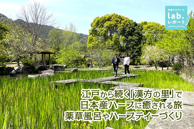 江戸から続く“漢方の里”で日本産ハーブに癒される旅 薬草風呂やハーブティーづくりも!-兵庫テロワール旅-