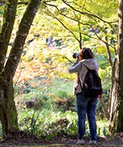 [ Undefined: article-review-plain ]