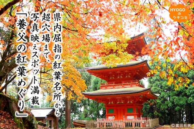 県内屈指の紅葉名所から超穴場まで、写真映えスポット満載「養父の紅葉めぐり」