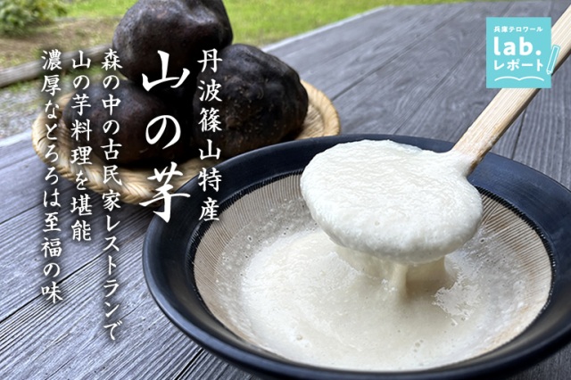 森の中の古民家レストランで丹波篠山特産「山の芋」料理を堪能　濃厚なとろろは至福の味！-兵庫テロワール旅-