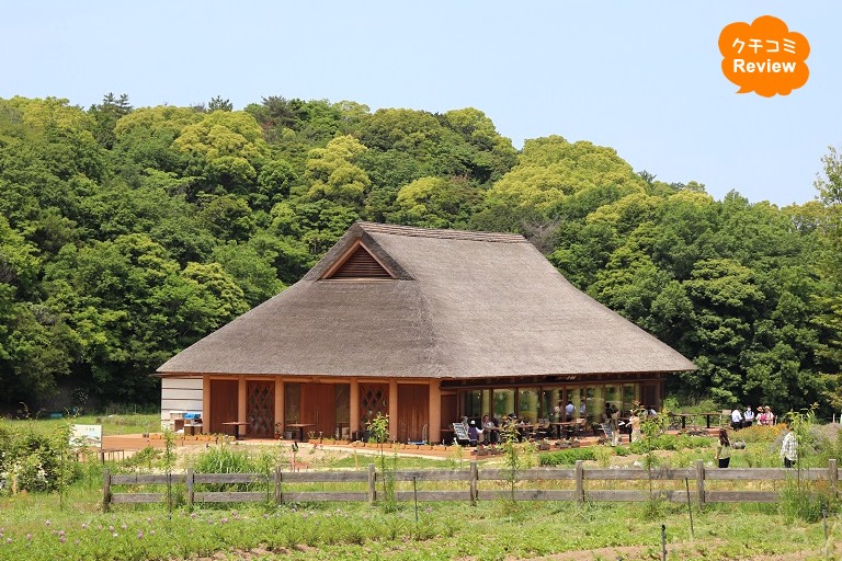 淡路島の里山で癒される 新しい旅のスタイル「森林浴ツーリズム」
