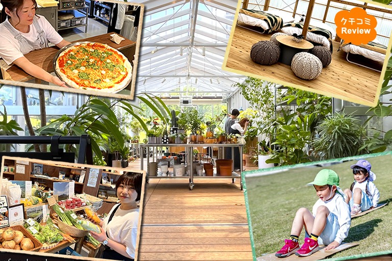 遊んで食べて泊まれる!自然いっぱいの農業公園「みとろの丘」グランドオープン