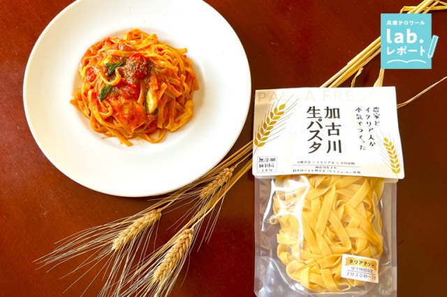 日本初の種子栽培から製麺まで純国産「加古川パスタ」を食べに行こう!-兵庫テロワール旅-