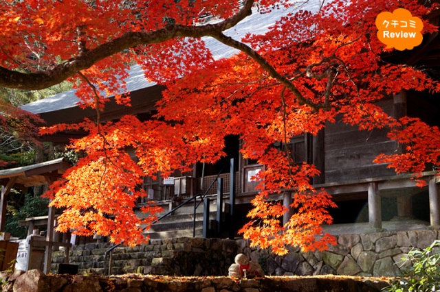 混雑回避！紅葉も秋の味覚も堪能できる 丹波篠山「もみじ三山めぐり」