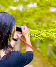 [ Undefined: article-review-plain ]