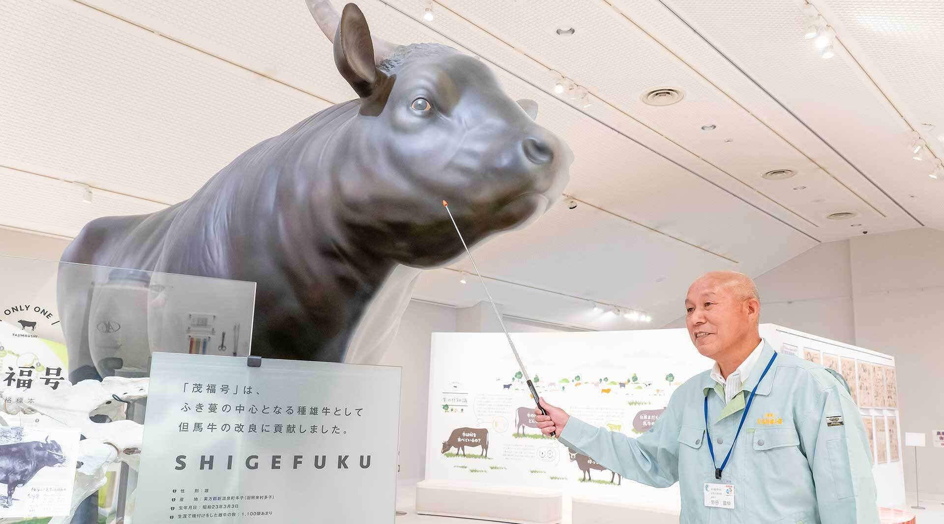 すべては但馬牛と農家のために。県民の宝を次世代へつなぐ(新温泉町 - 但馬牛)