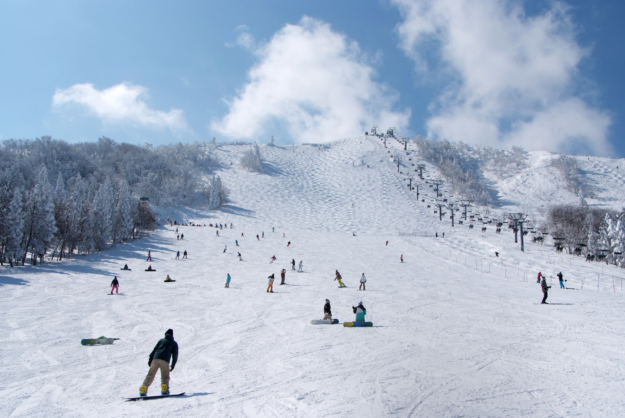 ひょうごスキー場情報 2025-2026