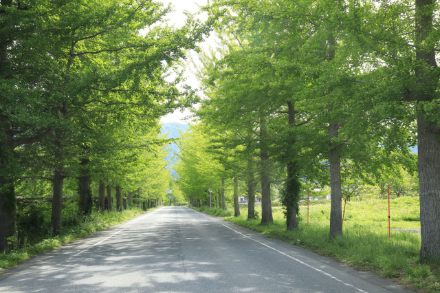 おもてなし研修