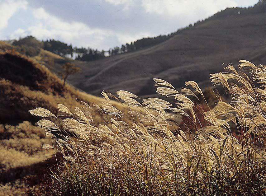 효고의 자연 절경