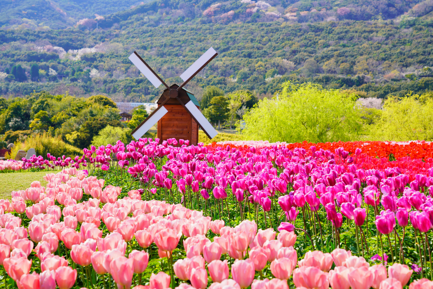 兵庫の定番・姫路発ドライブ！姫路城と淡路島を巡る、1泊2日モデルコース
