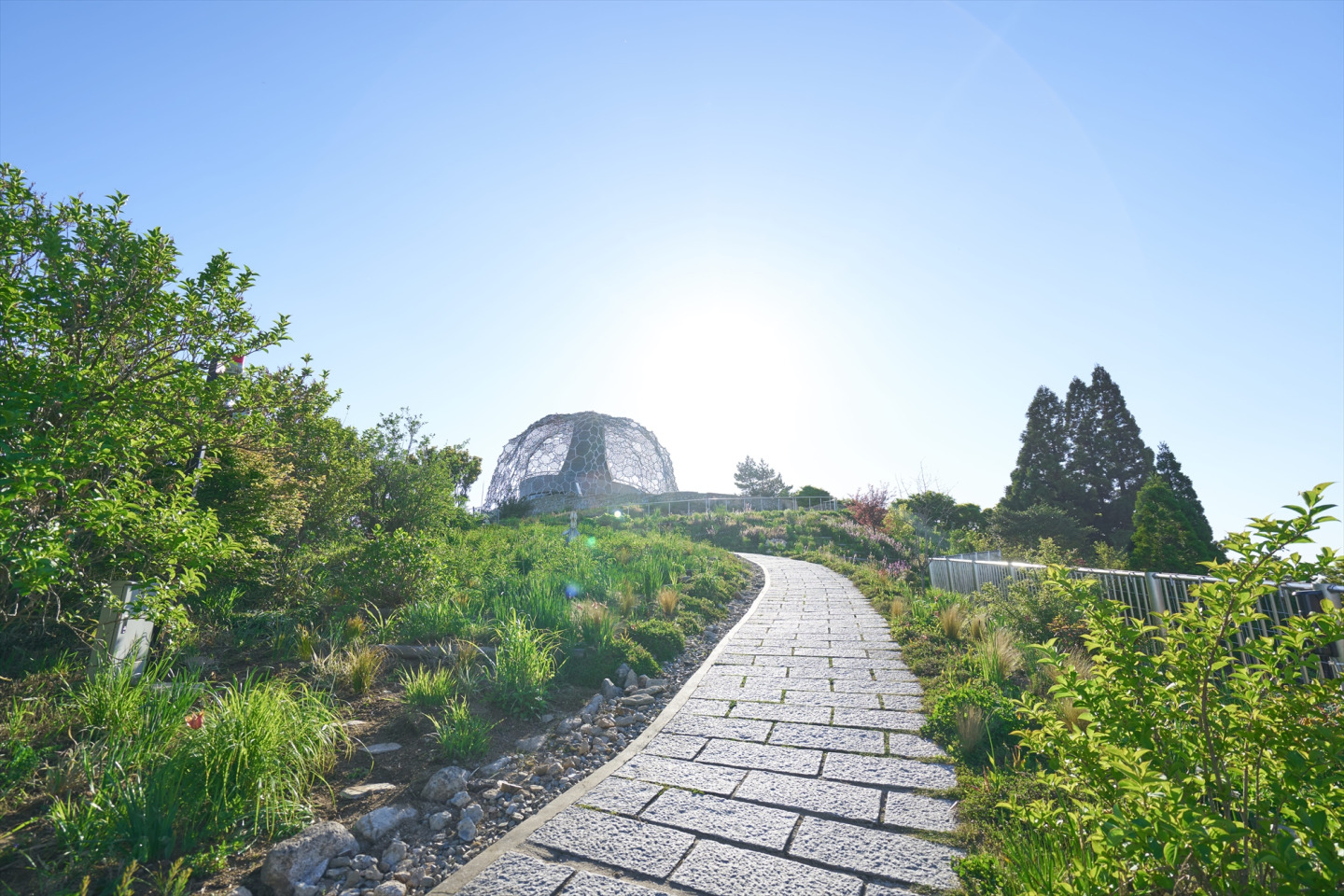 六甲山ドライブ